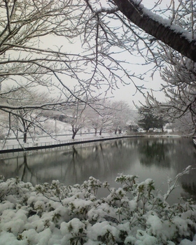 千葉　雪景色