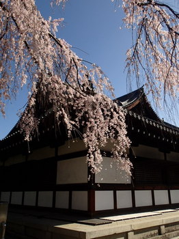 京都　旧武徳殿